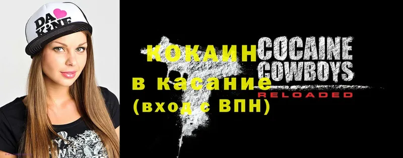 ссылка на мегу как зайти  Киселёвск  Cocaine Fish Scale 